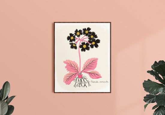 Black Primrose - Art Print